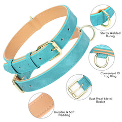 Jumpress teal buckle detail on small collar highlights durable construction.