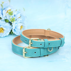 Jumpress teal collar shows ID tag ring for quick identification.