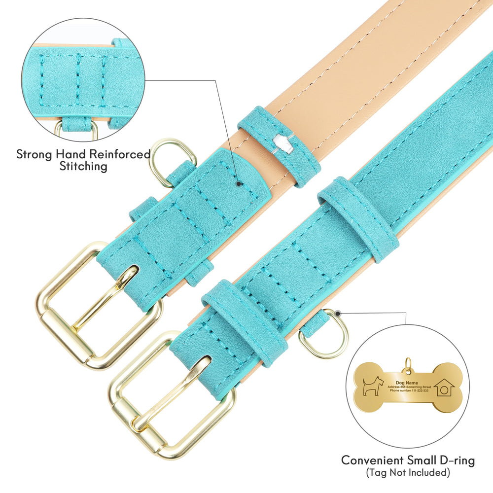 Jumpress leather collar on small dog during walks for everyday use.