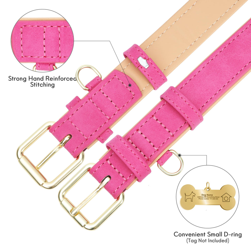 Jumpress medium-to-large dog walking collar demonstrates reliable everyday wearability.