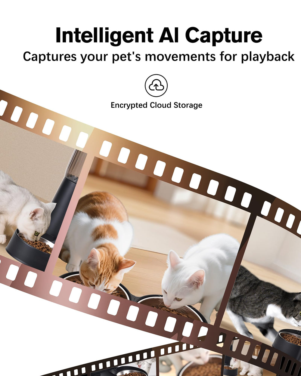 Junbec-Pet 1080p-camera view helps monitor pet while feeding.