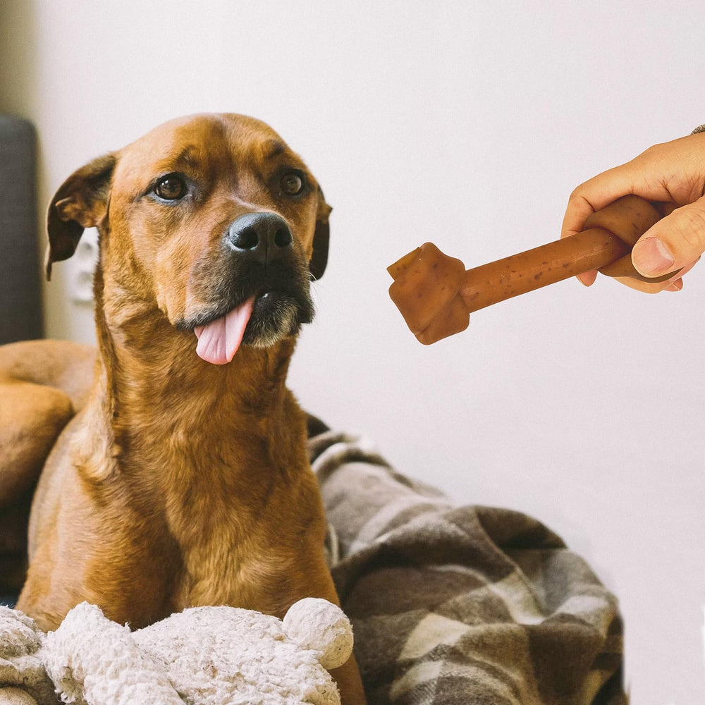 Jungle Calling chew strengthens bonding during hike or vacation