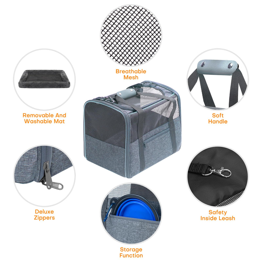 Jungyoon collapsible water bowl included for on-the-go hydration.