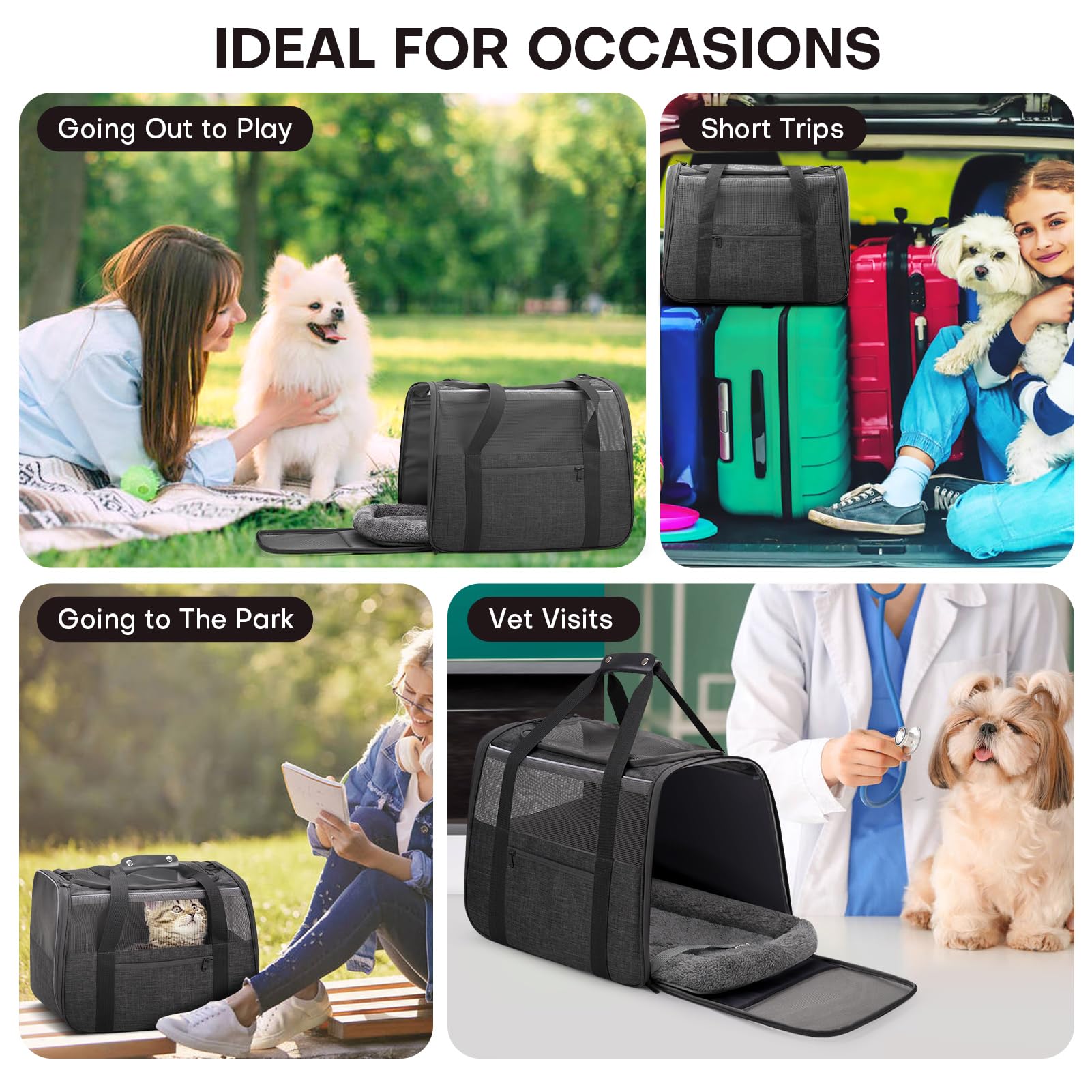 JUNGYOON carrier features 360° ventilation mesh for breathable, pet-friendly travel