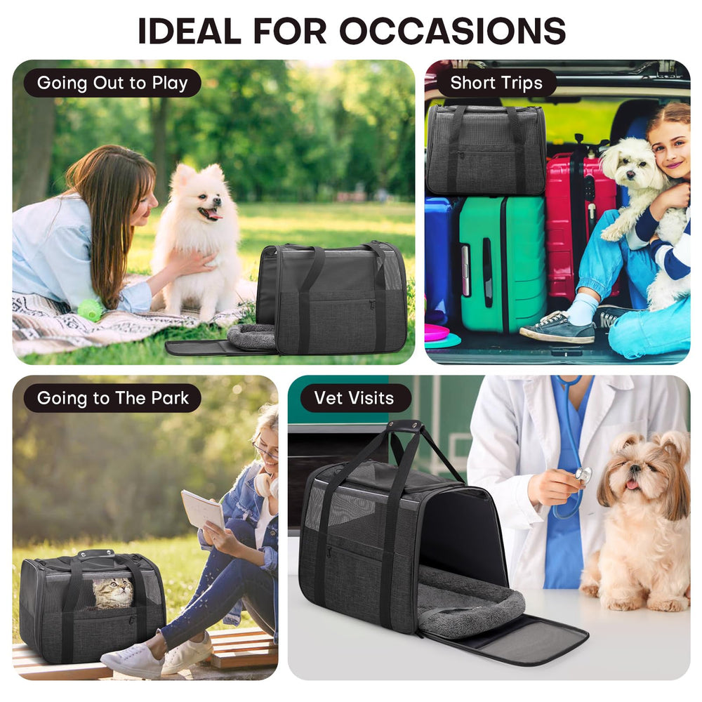 JUNGYOON carrier features 360° ventilation mesh for breathable, pet-friendly travel