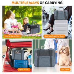 JUNGYOON premium cat carrier airline-approved for stress-free boarding and travel.