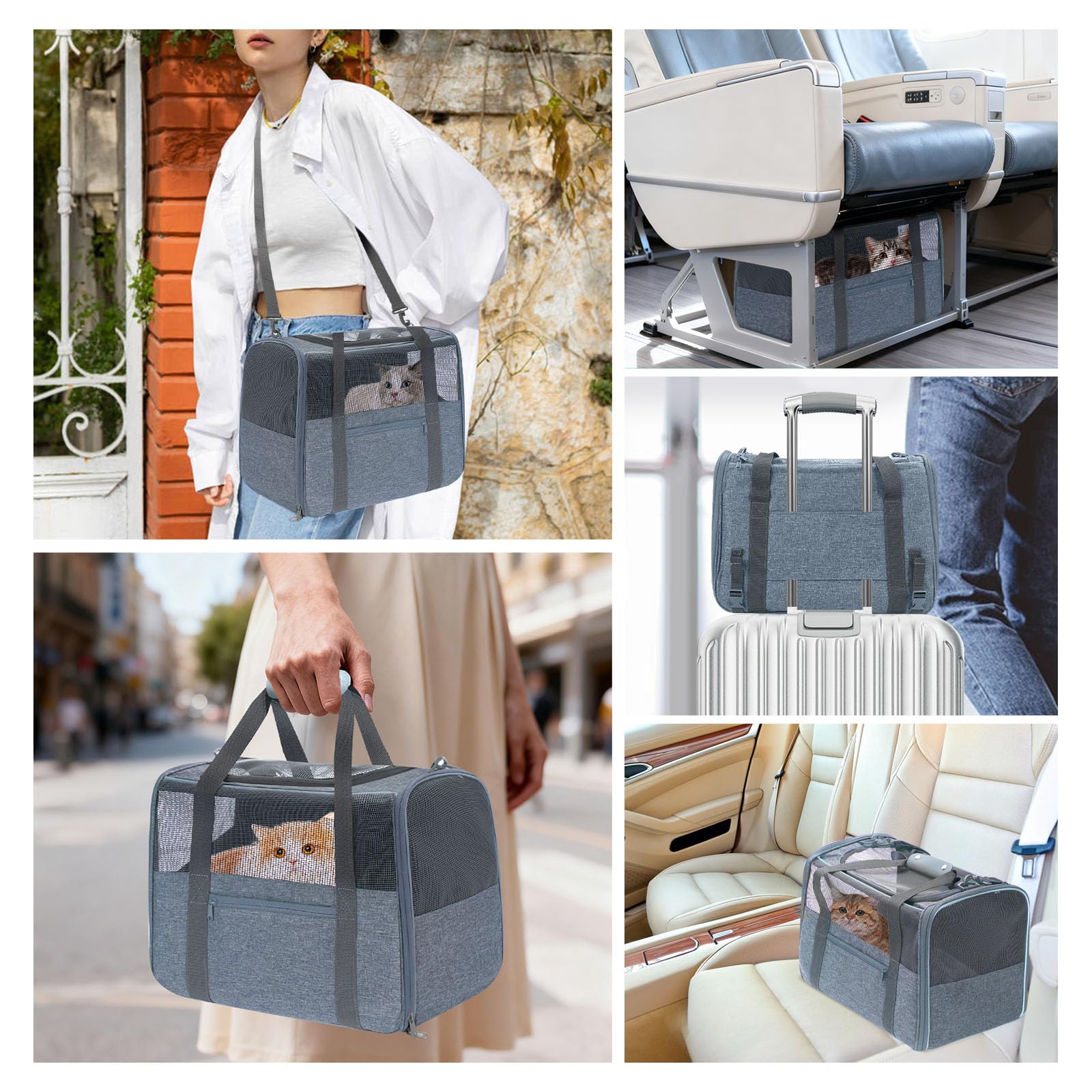 JUNGYOON premium cat carrier anti-escape zippers keep curious pets secure.