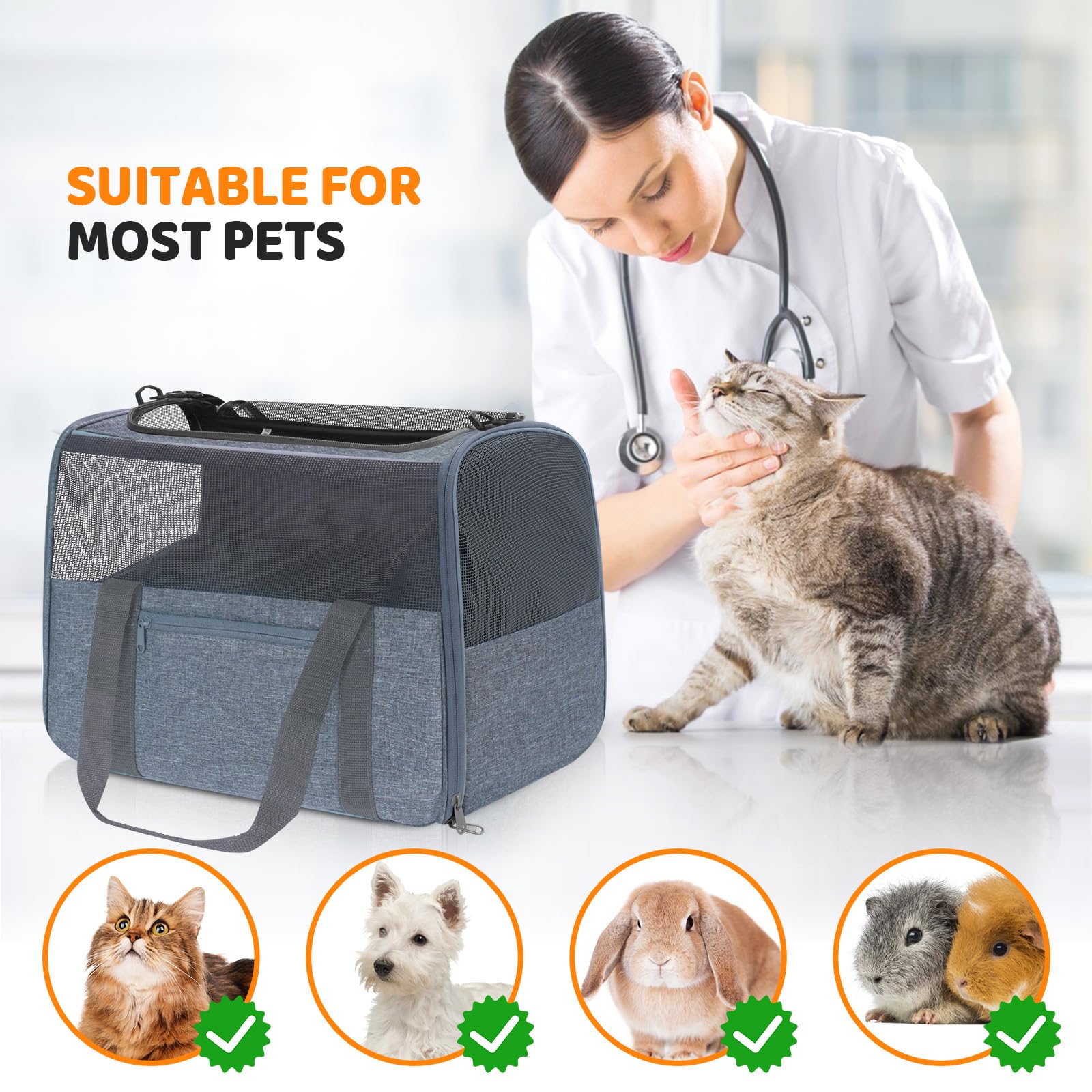 JUNGYOON premium cat carrier collapsible water bowl for on-the-go hydration.
