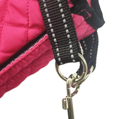 JUOMIIEL dog lift harness hind-leg support in action