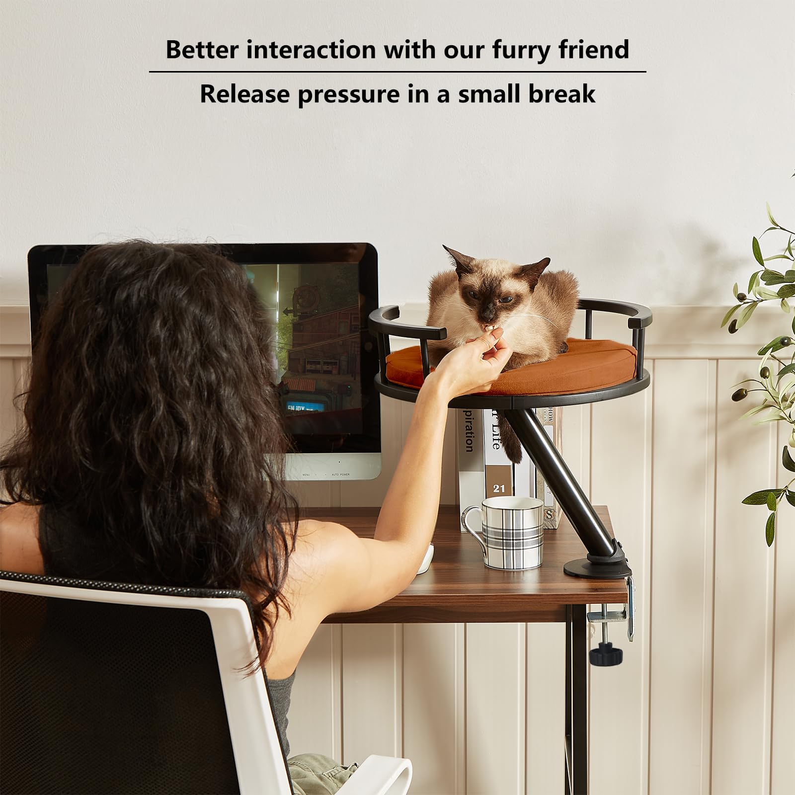 JuoPool cat desk bed cushions include summer and winter comfort options.