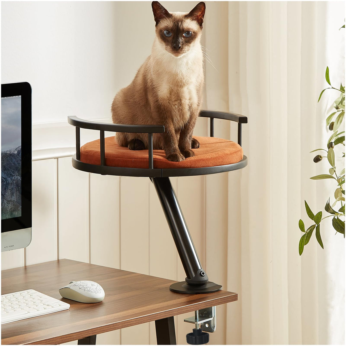 JuoPool cat desk bed desktop attachment keeps you connected with your cat while you work.