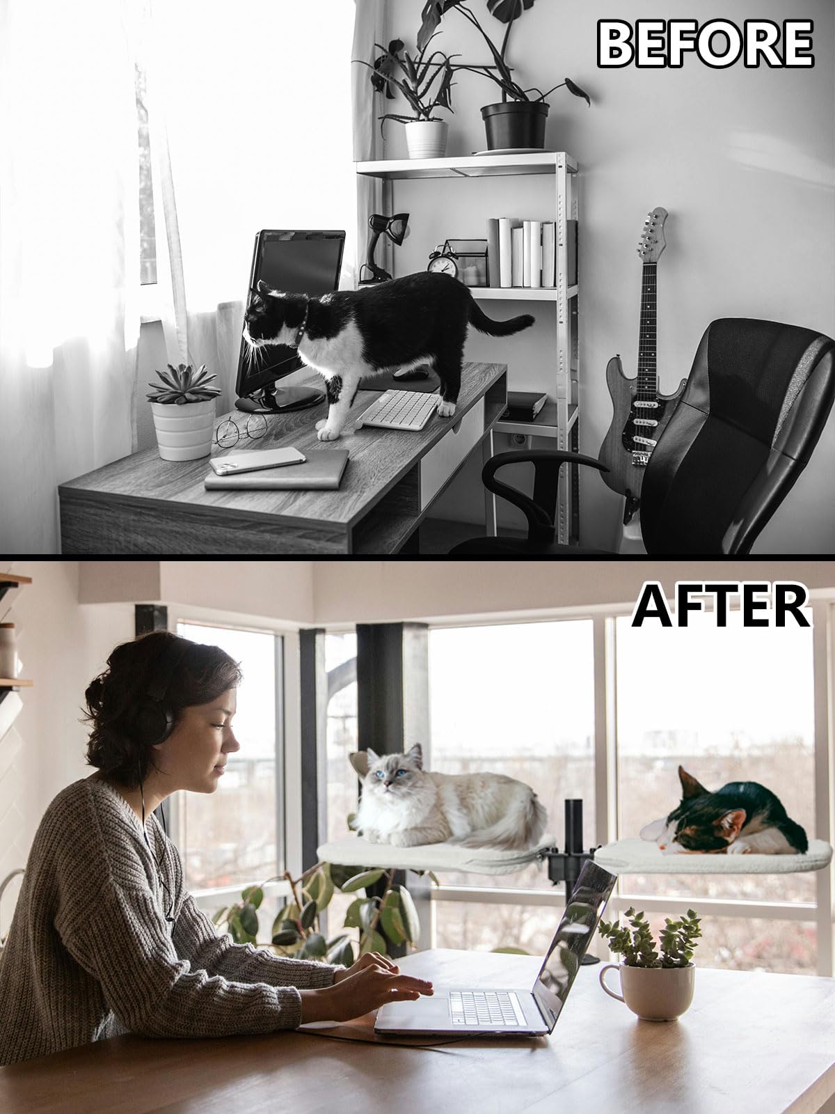JuoPool Double Cat Desk Bed top view highlights dual nests for two cats during work.