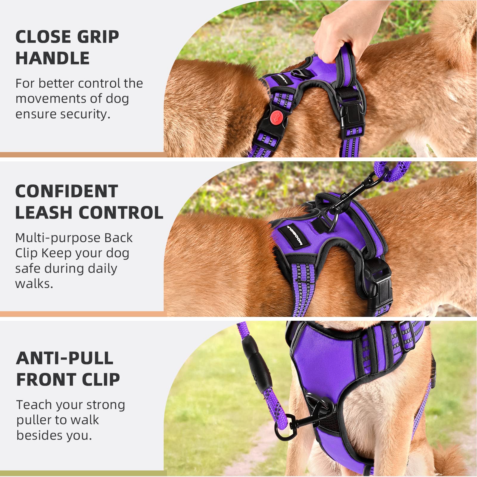 Juqiboom 5ft dog leash with padded handle offers comfortable grip for long, controlled outings.