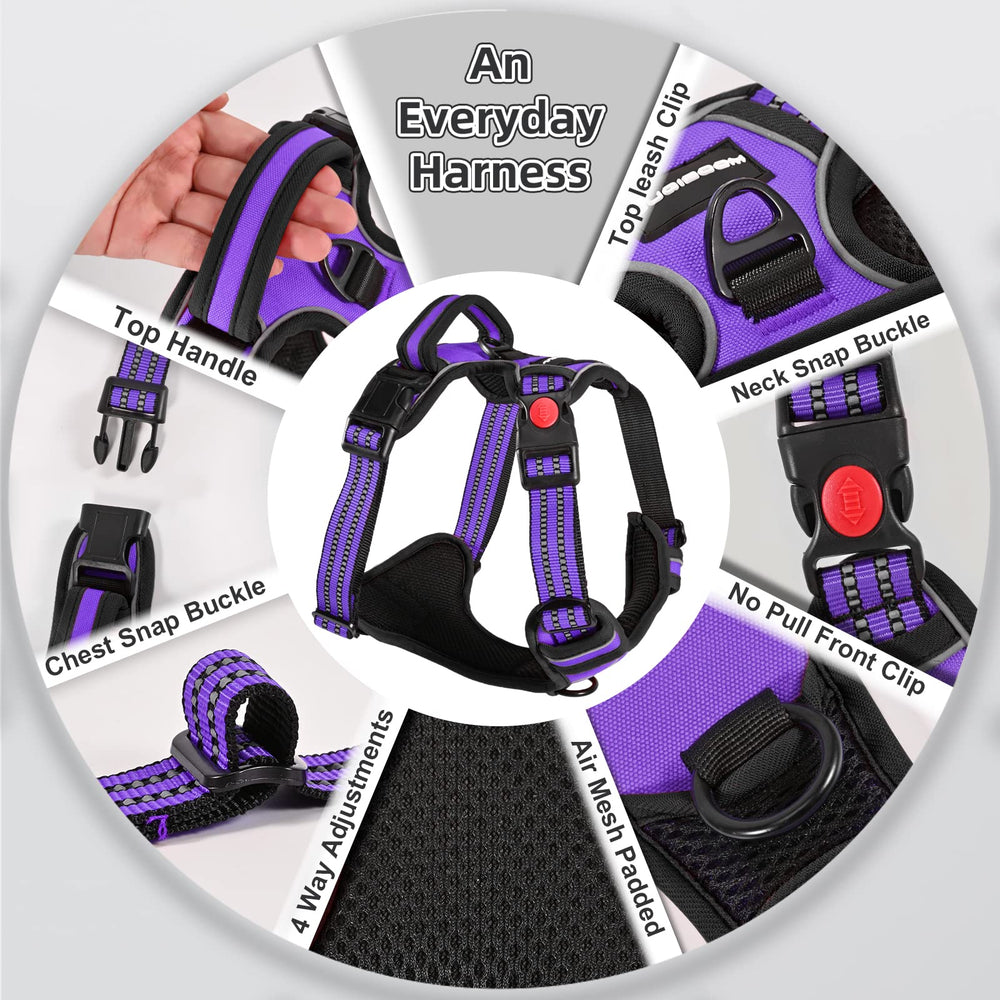 Juqiboom harness front-chest attachment demonstrates front-leash control to reduce pulling on walks.
