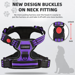 Juqiboom no-pull harness purple back view highlighting reflective strip for safer night strolls.