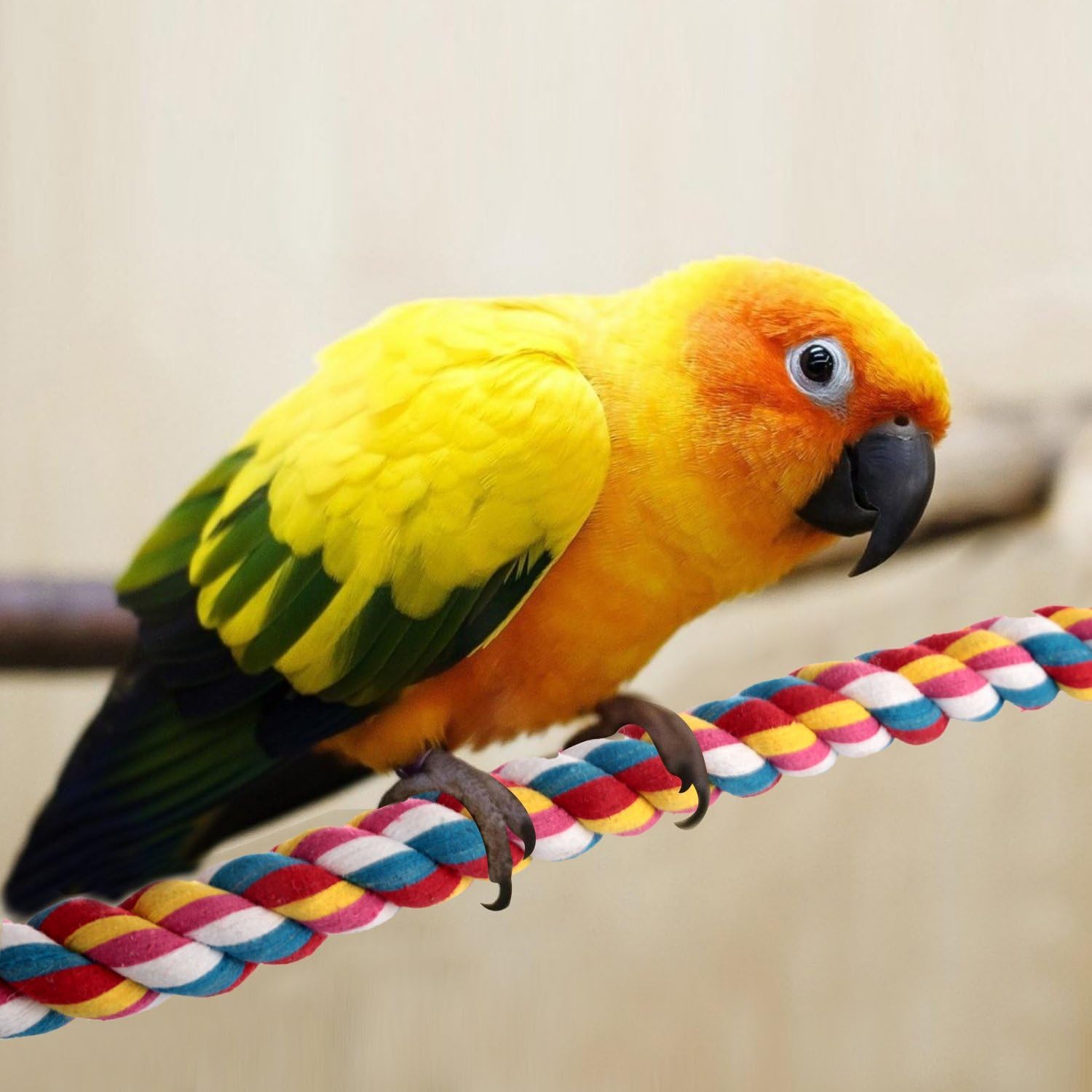 Jusney Rope Bungee Bird Toy aids exercise and mental engagement.