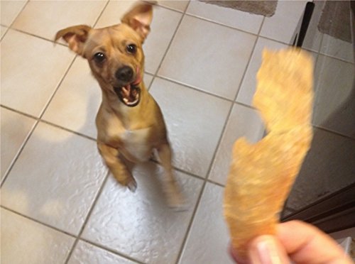 Just Jerky Treats refrigerate-after-opening note preserves freshness after opening