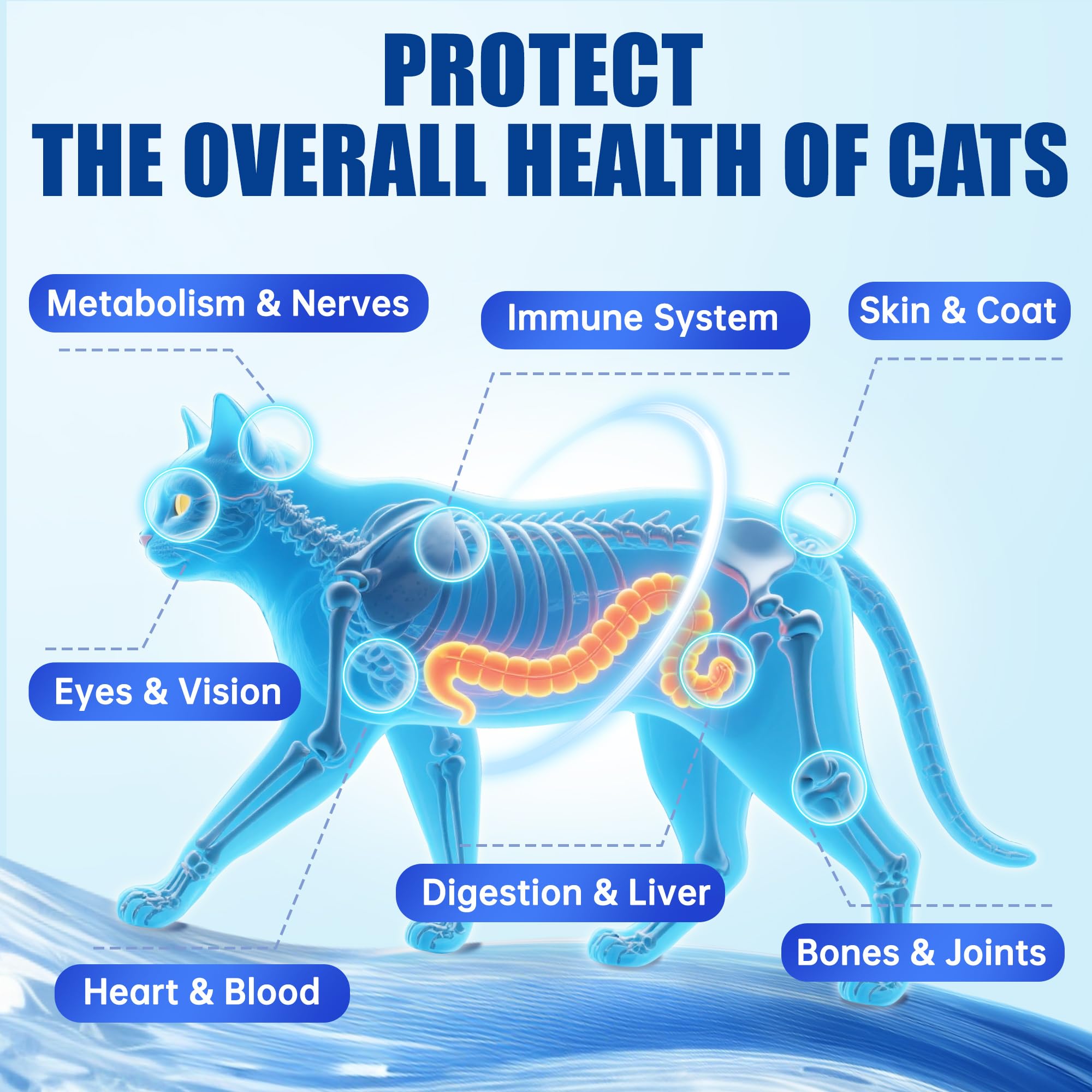 Just Try 23 in 1 Taurine cat bites chicken-flavor image promotes tasty daily nutrition.