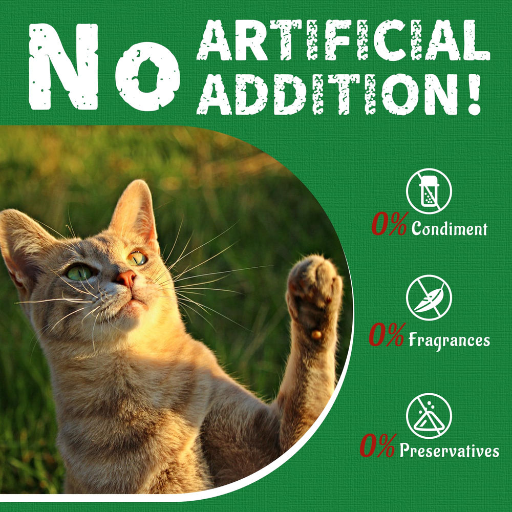 Just Try 36oz cat treats reseal-tub keeps treats fresh for longer.
