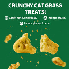 Just Try aceite de salmón para gato, suplemento omega-3 para pelaje brillante.