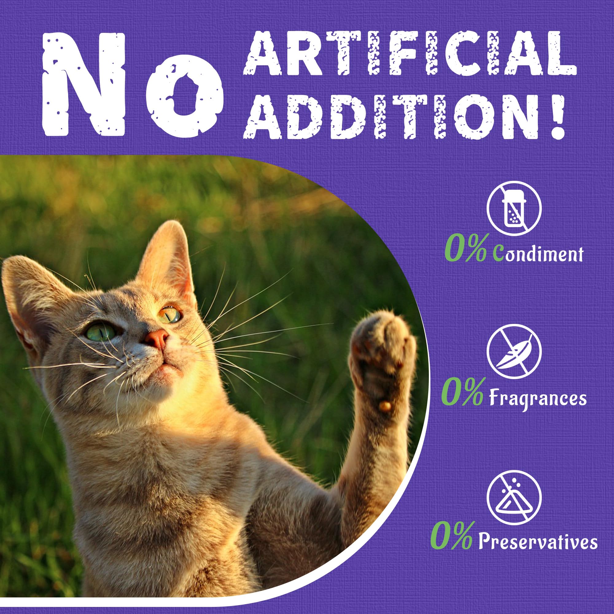 Just Try Blueberry Cat Treats gluten-free grain-free formula in jar