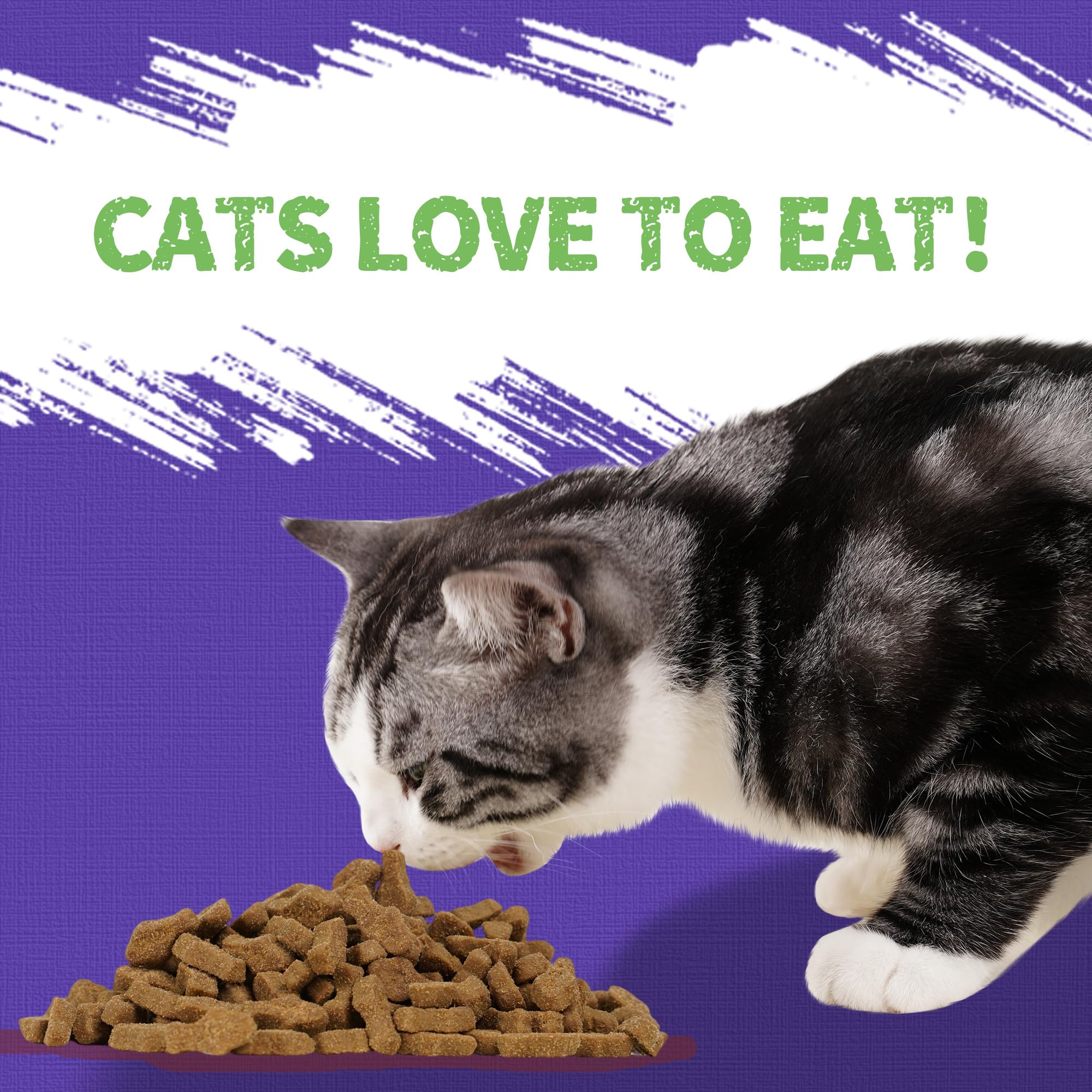 Just Try Blueberry Cat Treats indoor cat snacking during quiet time