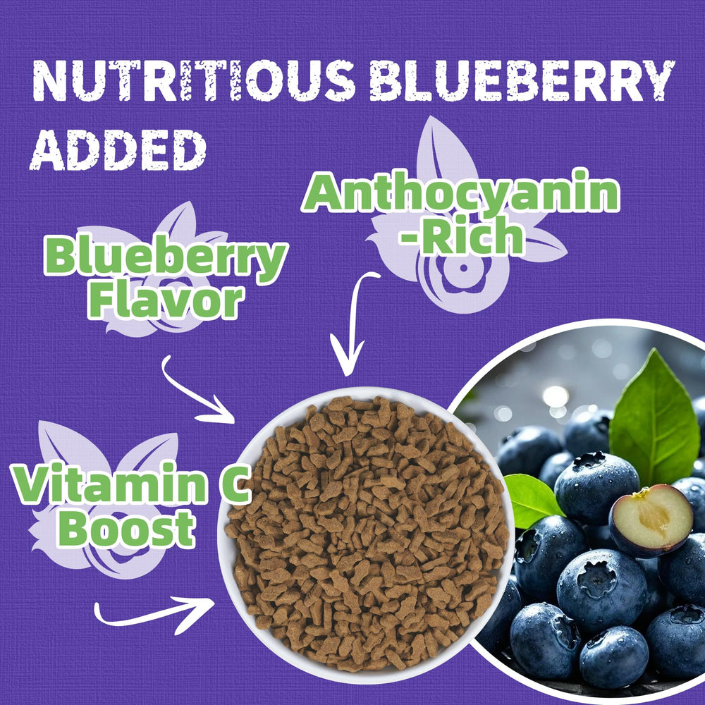 Just Try Blueberry Cat Treats serving bowl with treats for indoor cats