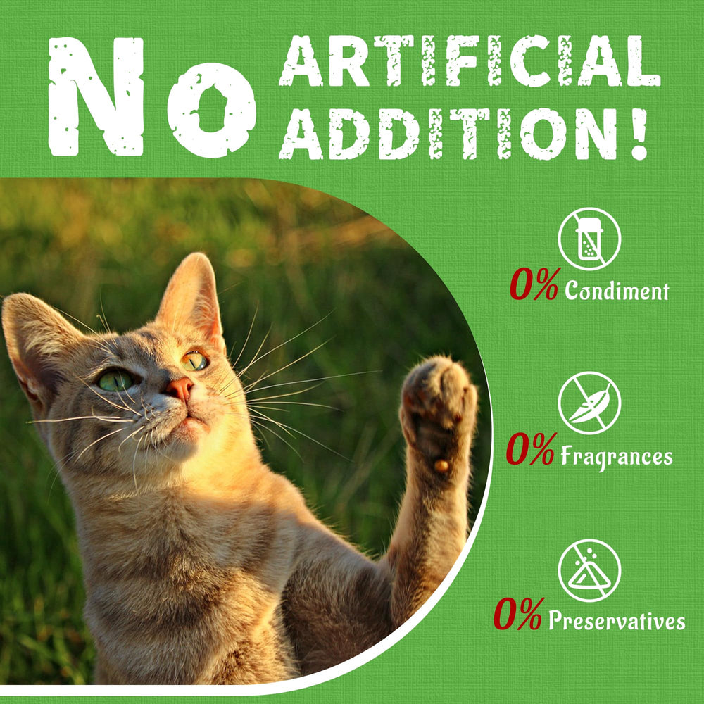 Just Try cat grass jerky treats jar storage display underscores stay-fresh, easy dispensing.