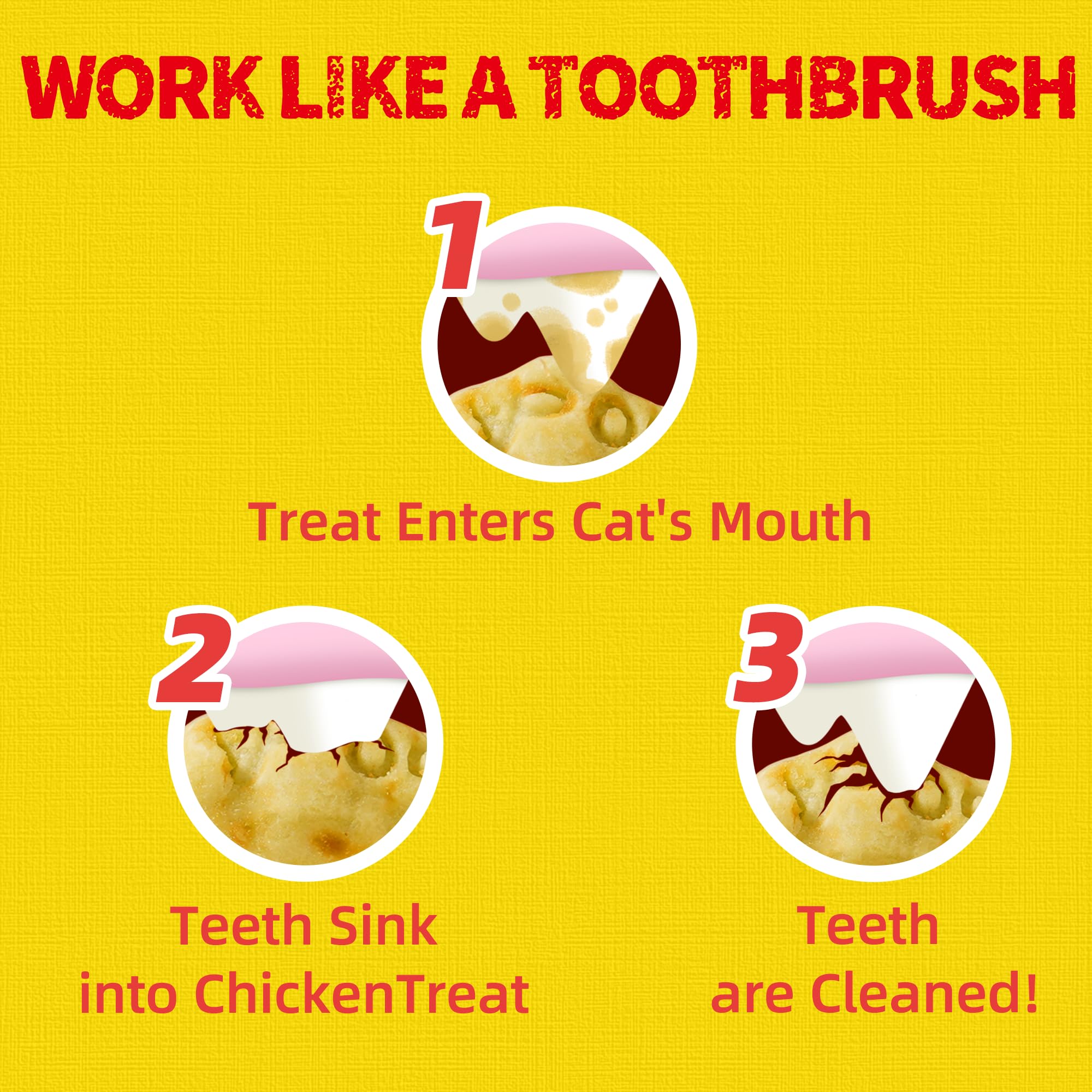 Just Try indoor-cat snack time capturing convenient rewards for bonding.