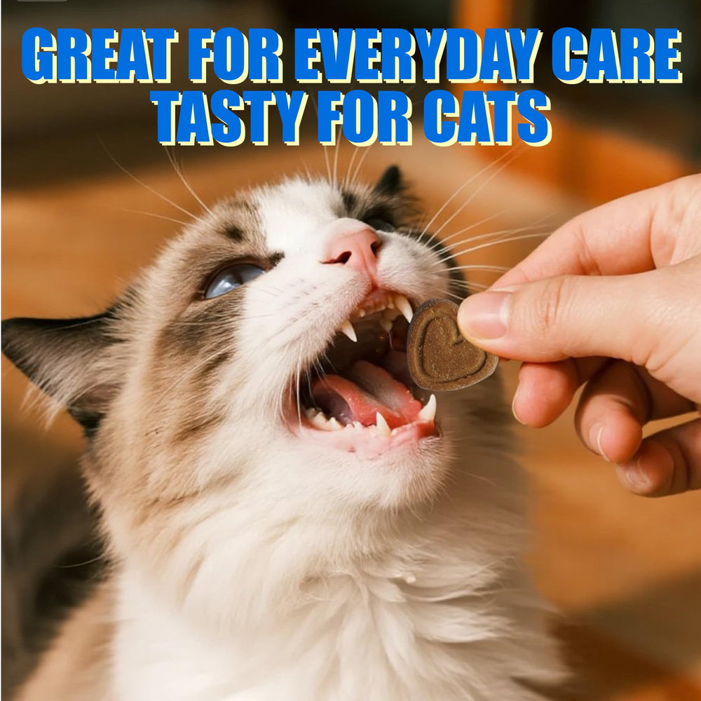 Just Try CoQ10 cat treat 300-count bottle shown for cost-effective daily heart support.