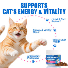 Just Try CoQ10 cat treats soft chews close-up with tasty chicken flavor for picky cats.