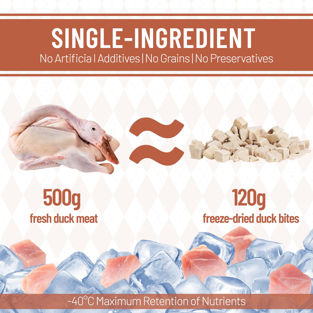 Just Try duck cubes soaking in water to rehydrate for a soft, hydrating snack.