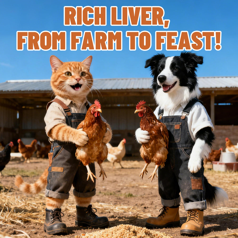 Just Try freeze-dried chicken liver treats close-up of meaty aroma.
