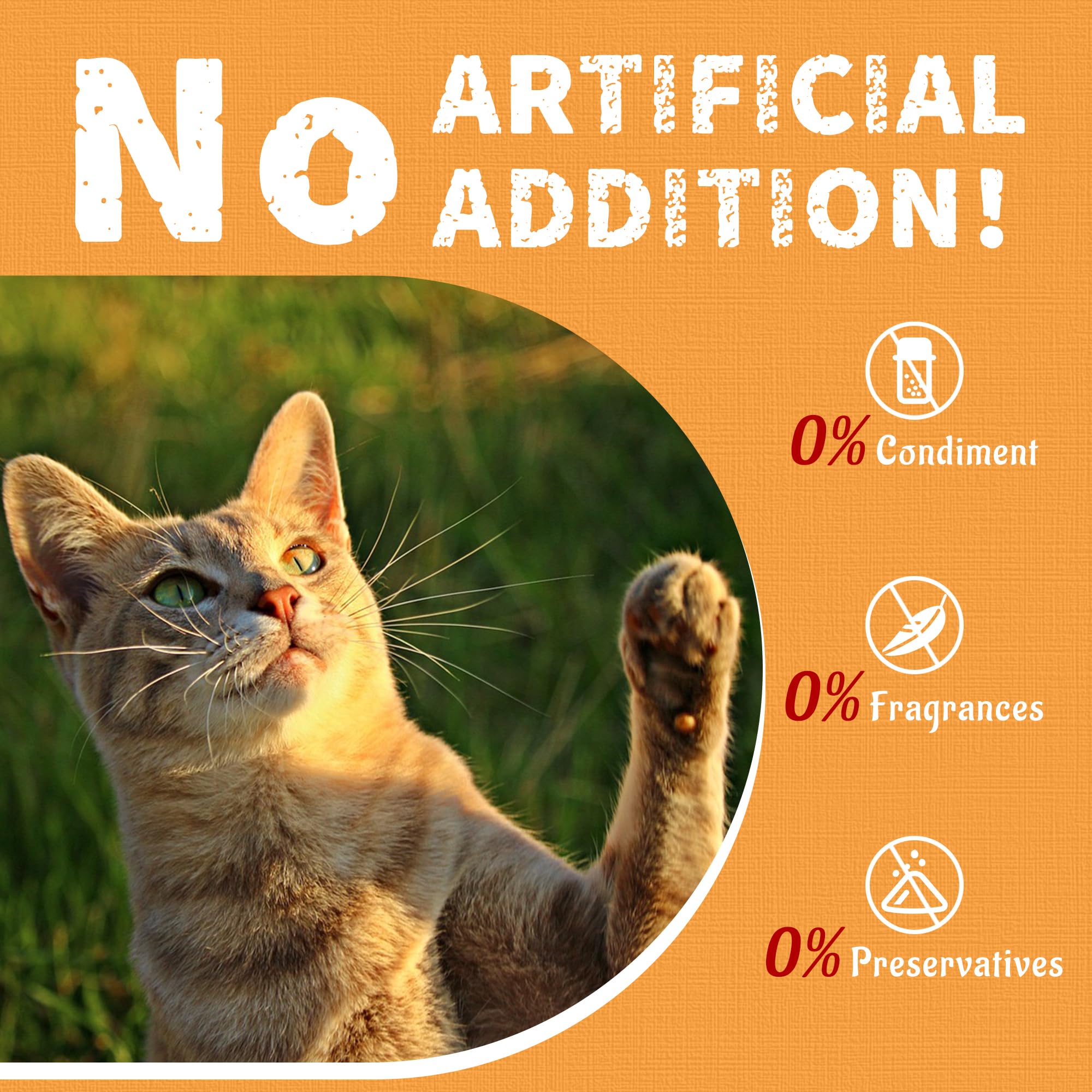 Just Try Krill & Chicken Cat Treats skin and coat glow concept