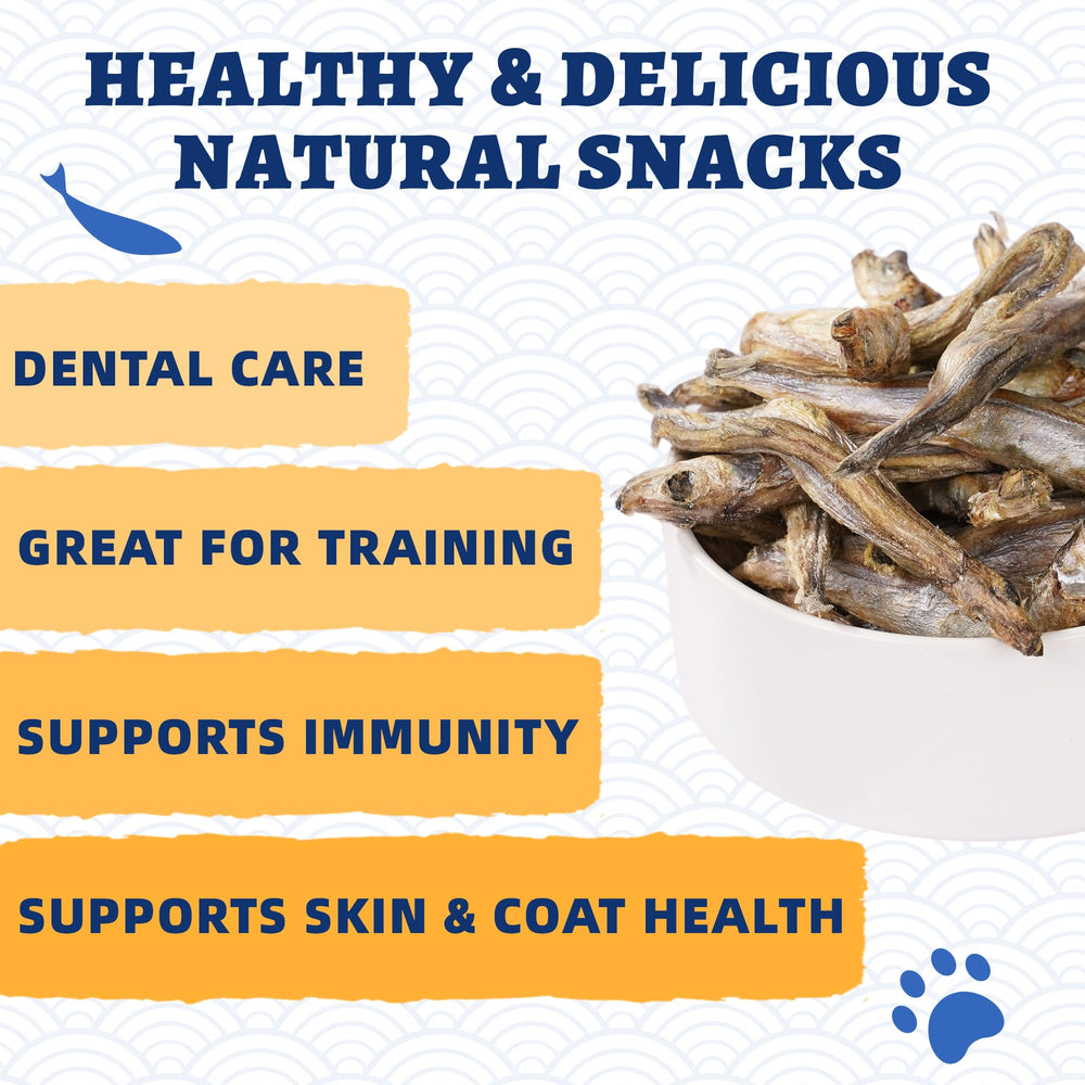 Just Try Minnows omega-3 rich with DHA and EPA for brain support