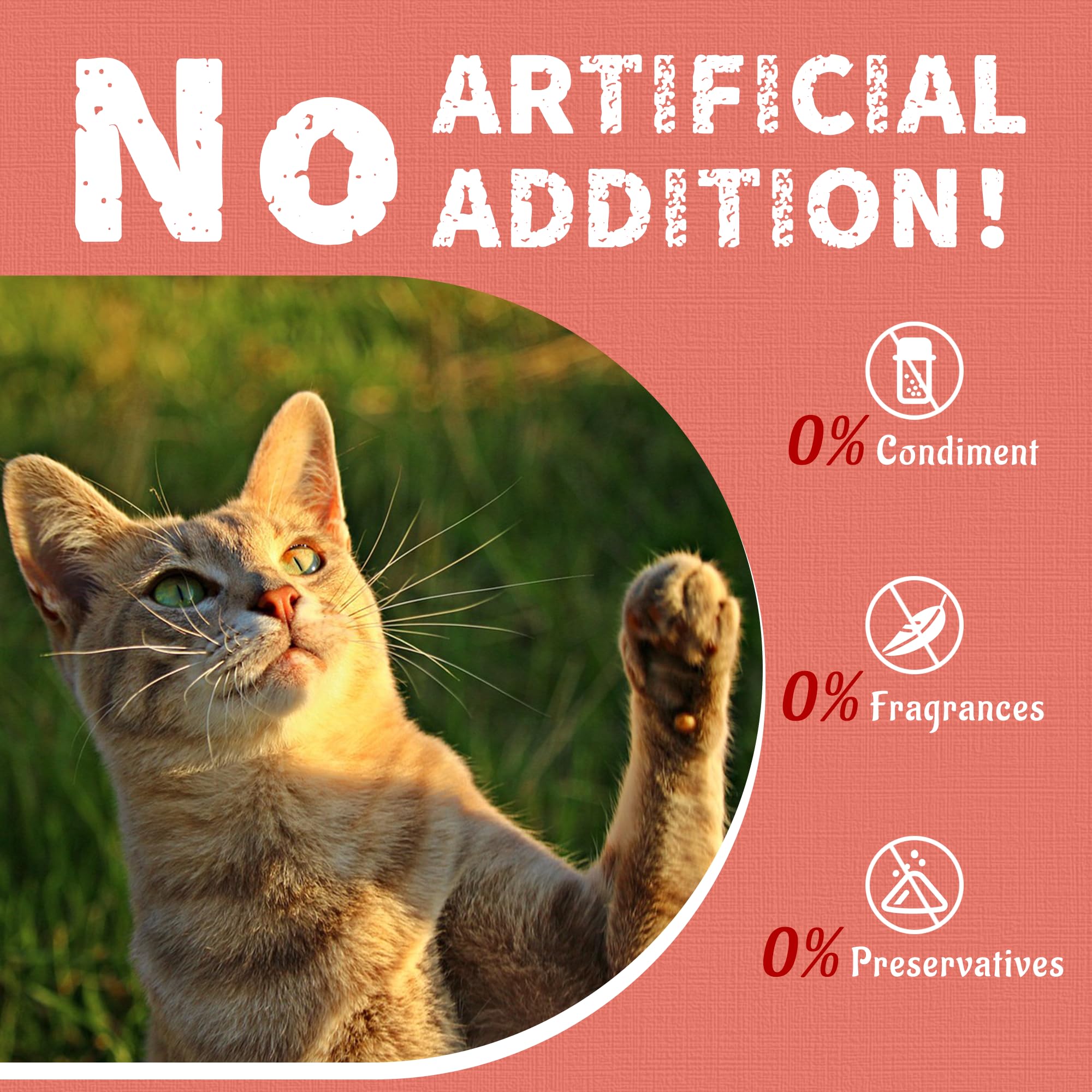Just Try Salmon Cat Treats stay-fresh jar maintains flavor between uses.