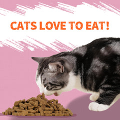 Just Try Shrimp Cat Treats fish-shaped treats — ideal for training and daily rewards