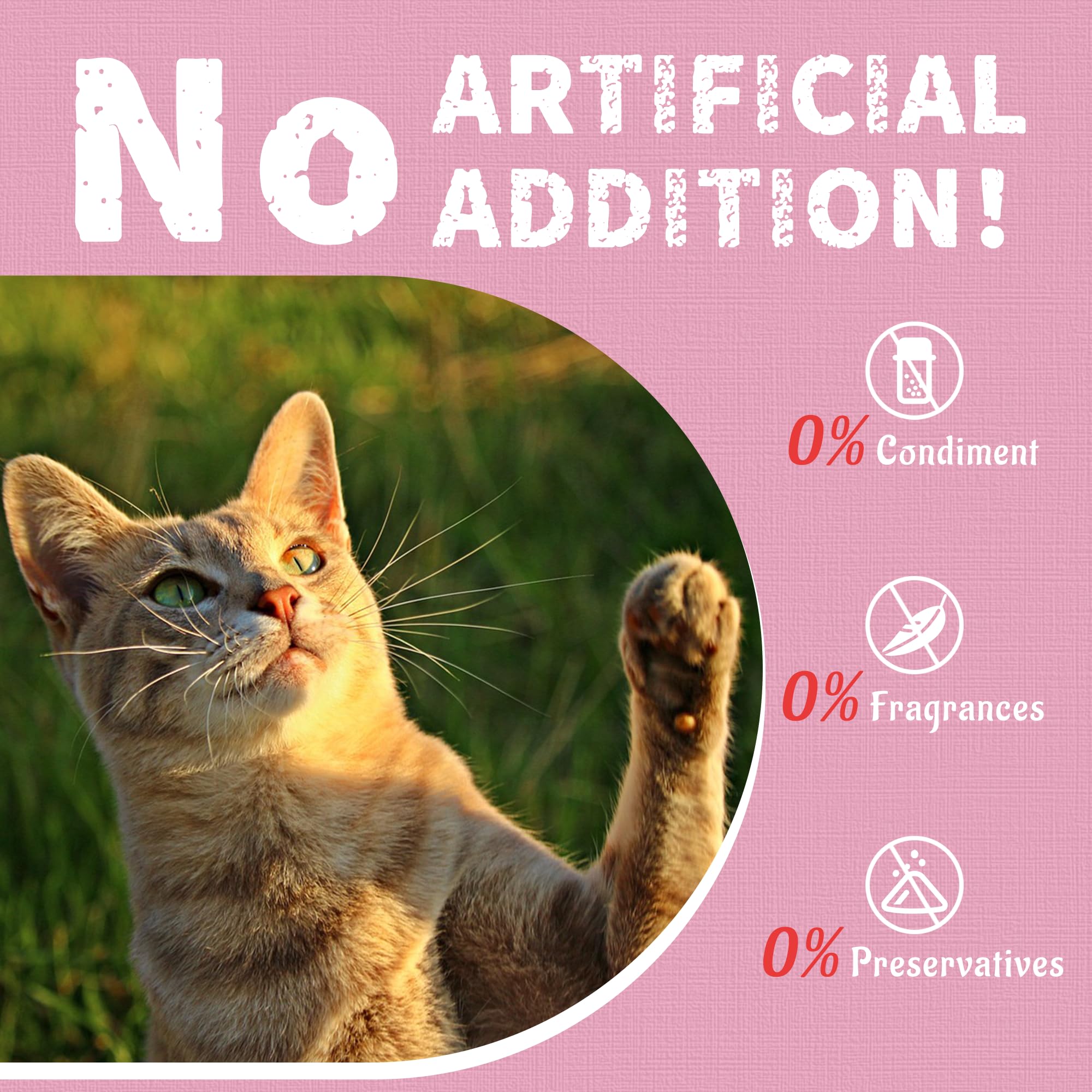 Just Try Shrimp Cat Treats snack-time bonding — easy way to bond with your cat