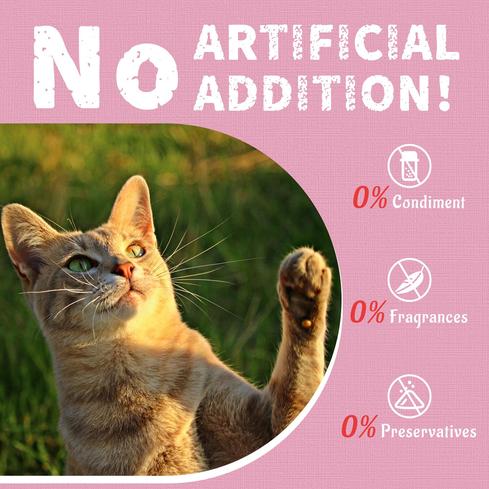 Just Try Shrimp Cat Treats snack-time bonding — easy way to bond with your cat