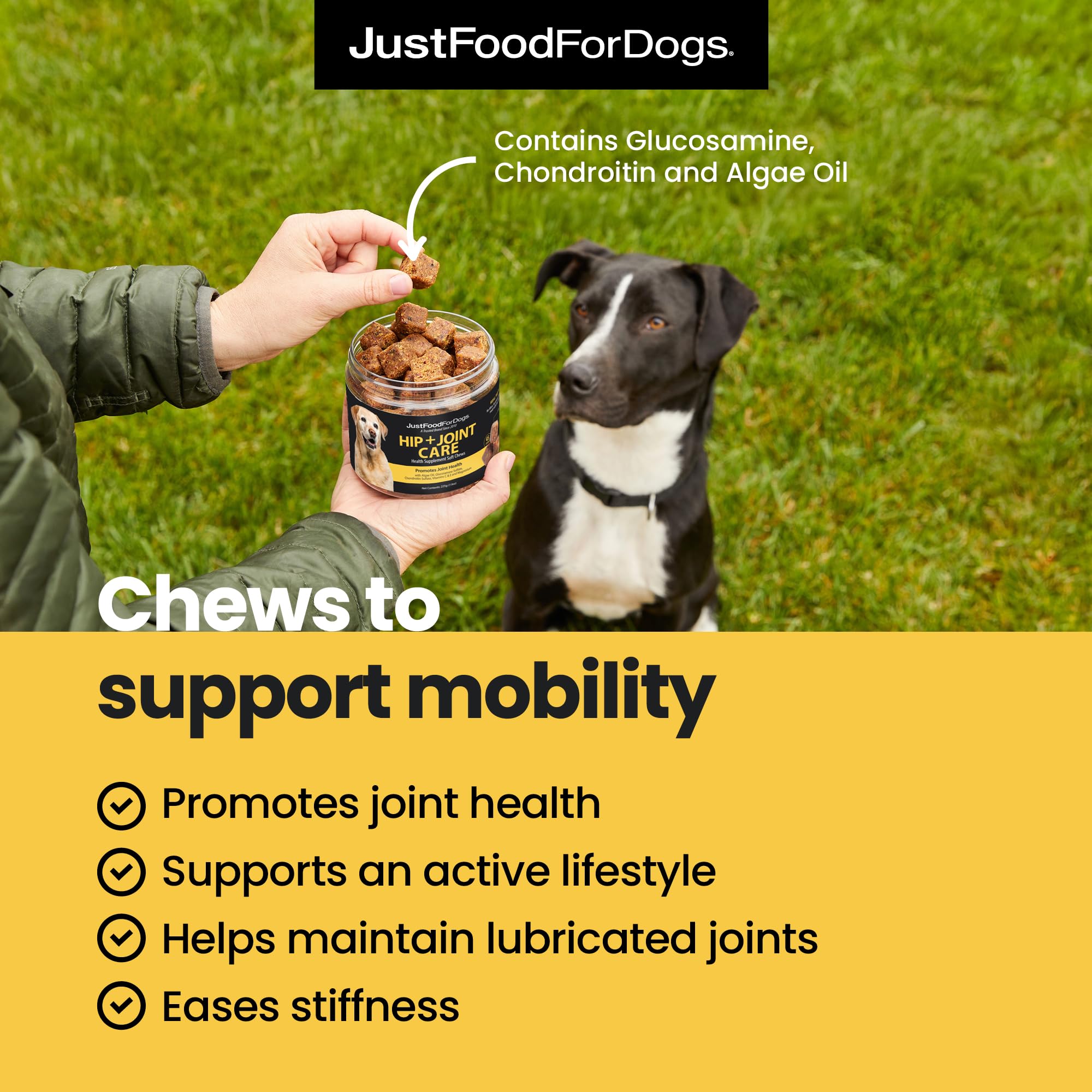 JustFoodForDogs Hip + Joint Soft Chews closeup ingredients highlights real, recognizable, human-grade components.