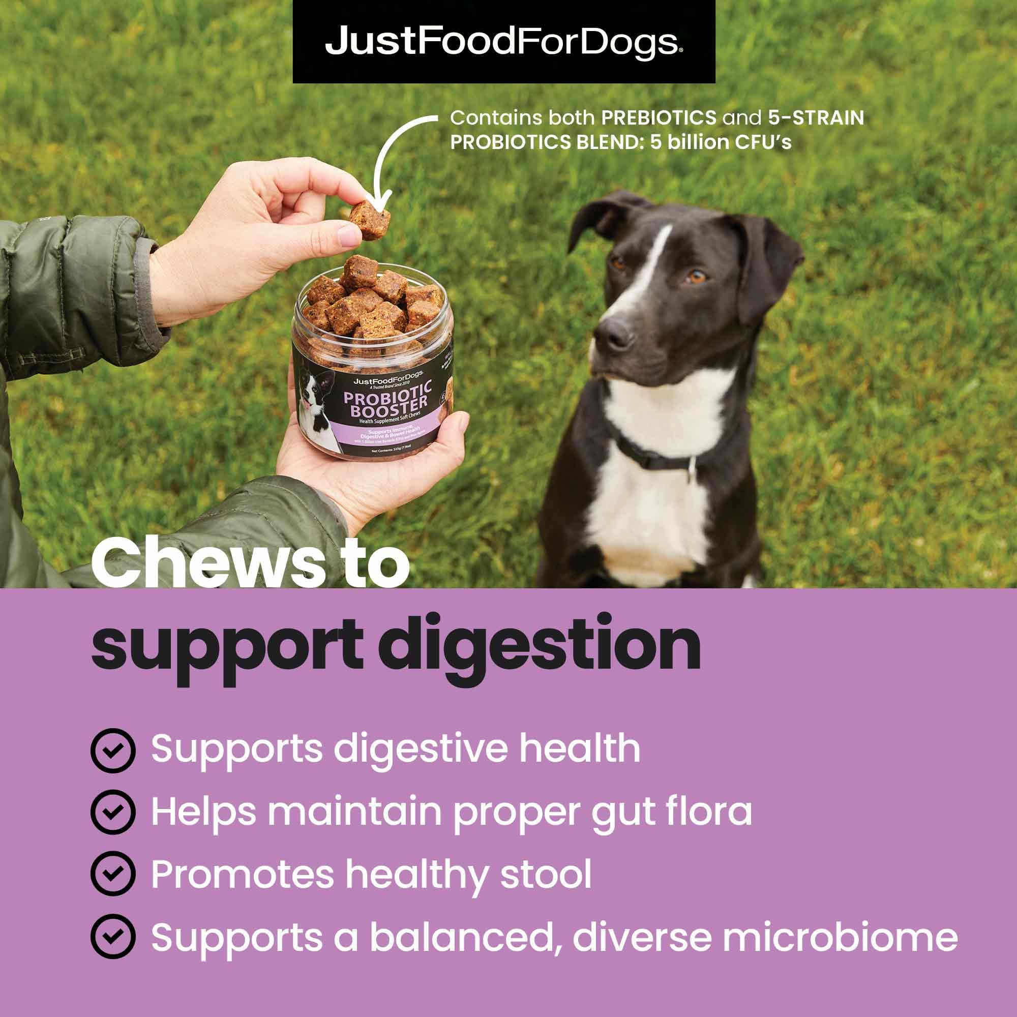 JustFoodForDogs Probiotic Booster in a dog bowl suggests easy daily gut health addition.
