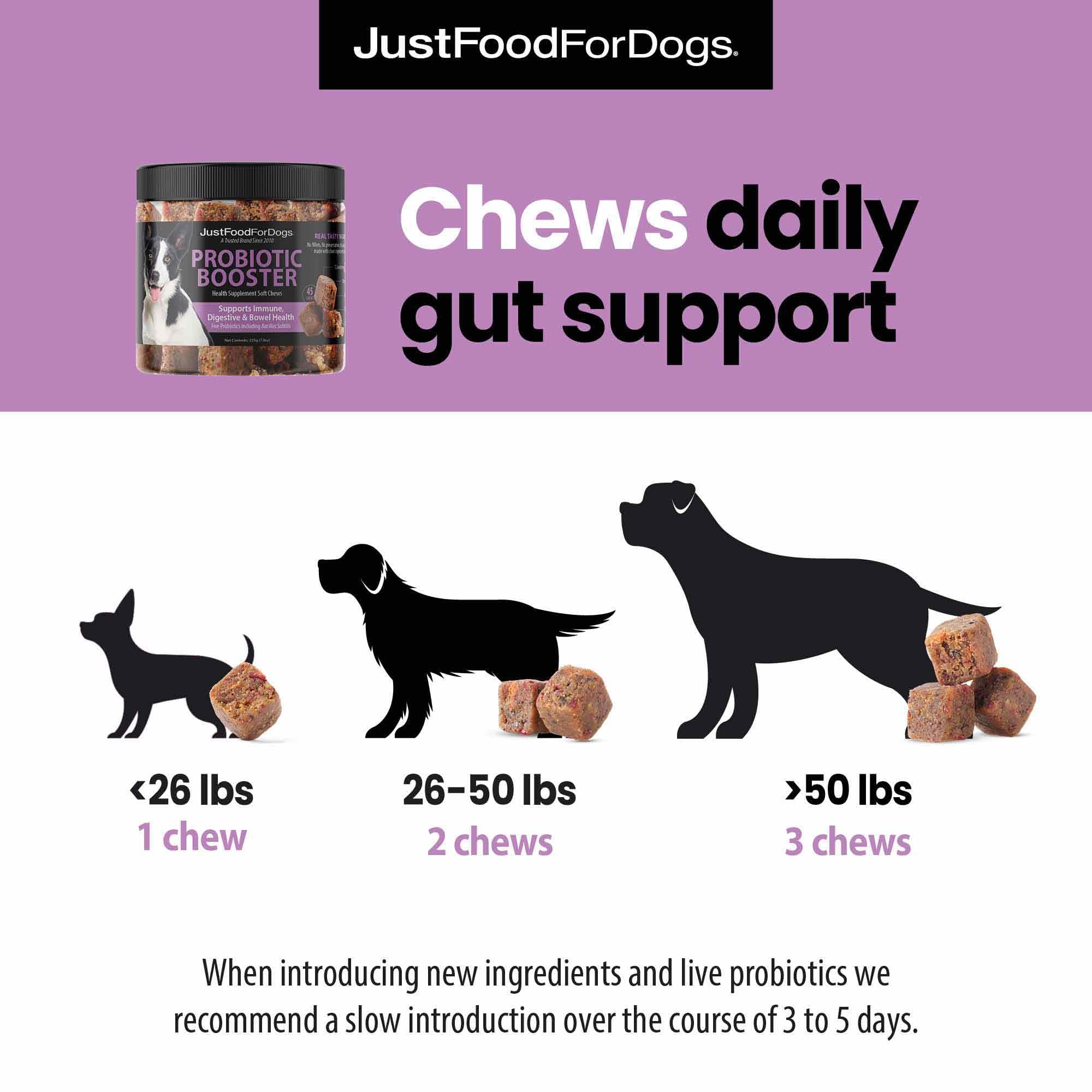 JustFoodForDogs Probiotic Booster health illustration suggests balanced microbiome and bowel health.