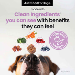JustFoodForDogs Probiotic Booster ingredients label highlights plant based, human grade components.