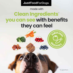JustFoodForDogs soft-chews ingredients photo—blueberries, broccoli, dates, carrots for nutrient-dense support.