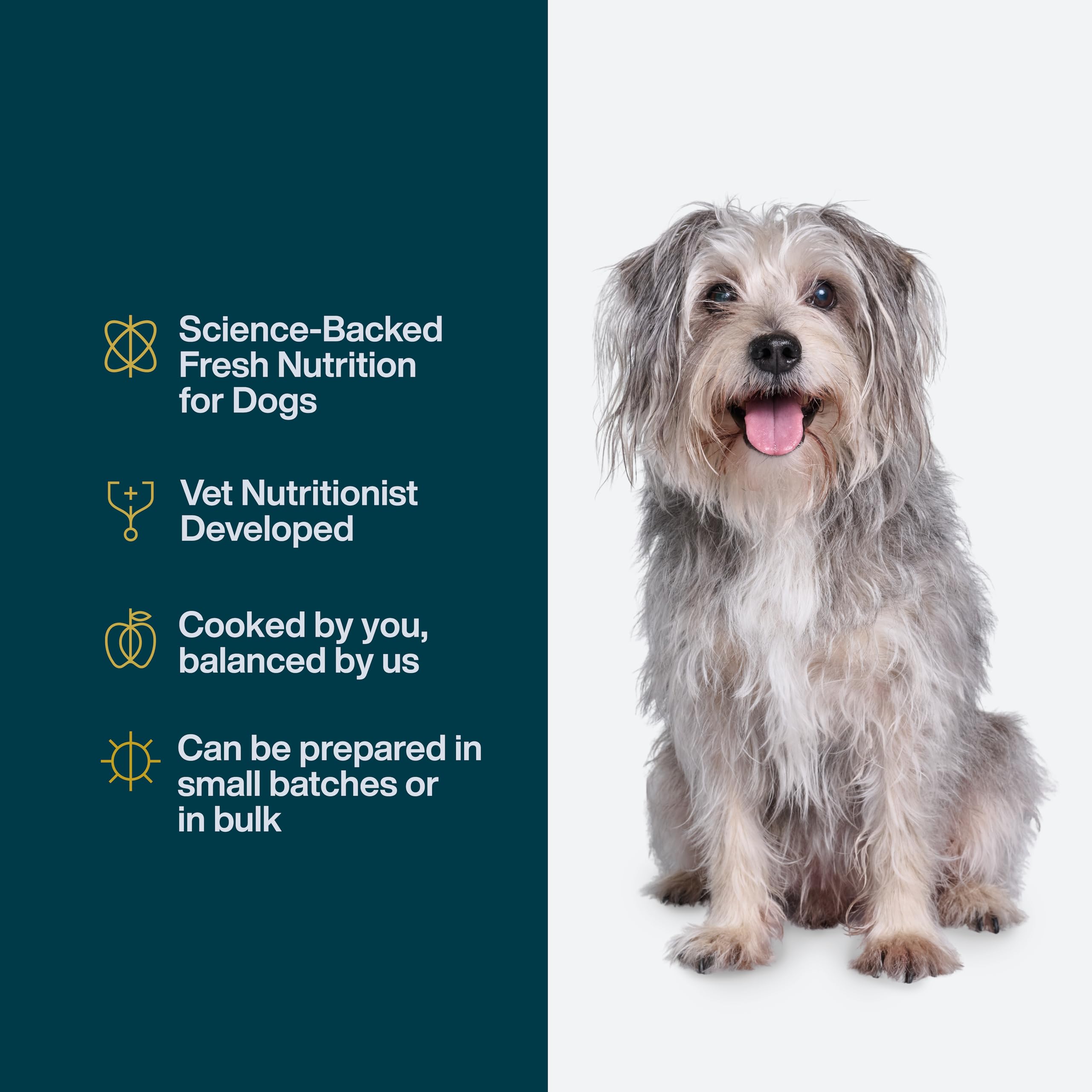 JustFoodForDogs spinach carrot apple mix supports whole-food nutrition.