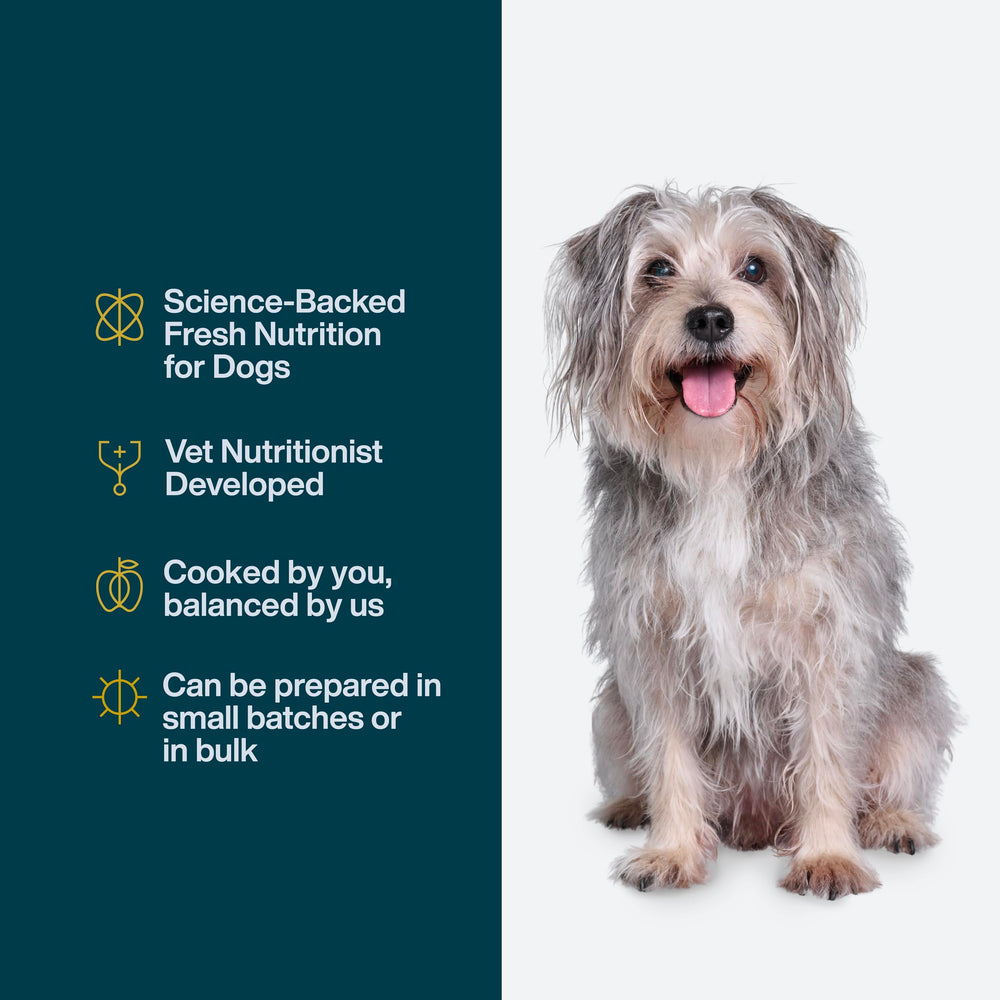 JustFoodForDogs spinach carrot apple mix supports whole-food nutrition.
