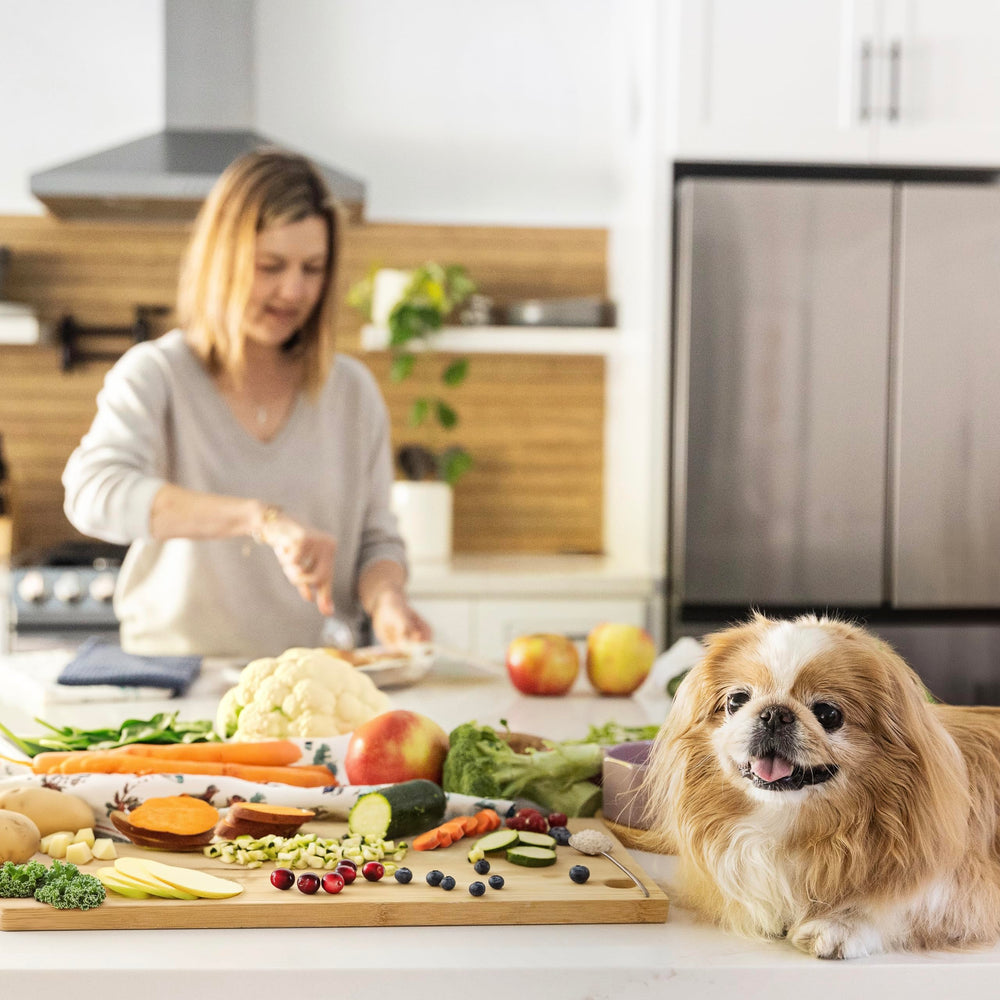 JustFoodForDogs vet-developed formulation label highlights FDA-regulated nutraceuticals.