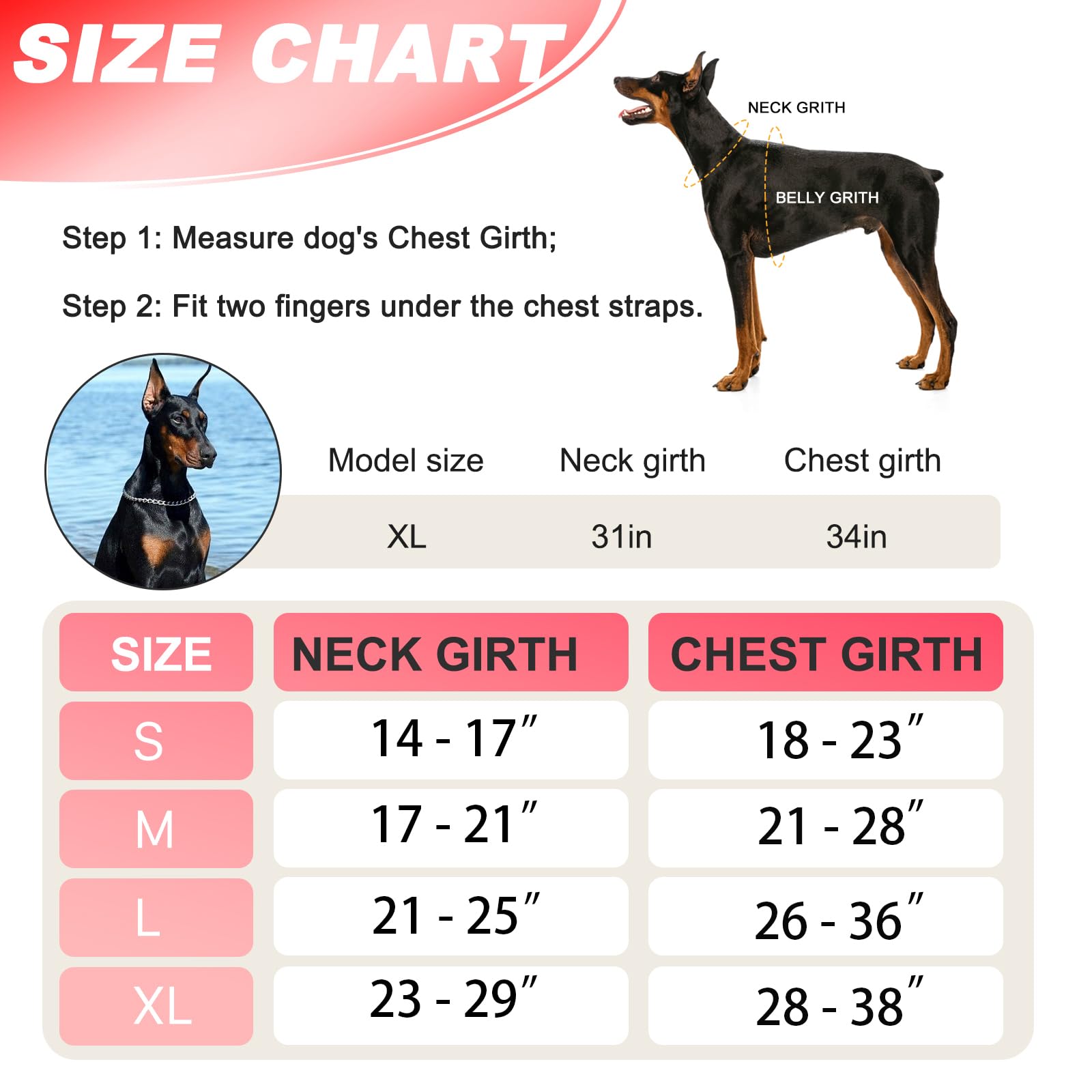 JUSTYEZI 5ft dog leash for secure control during walks.