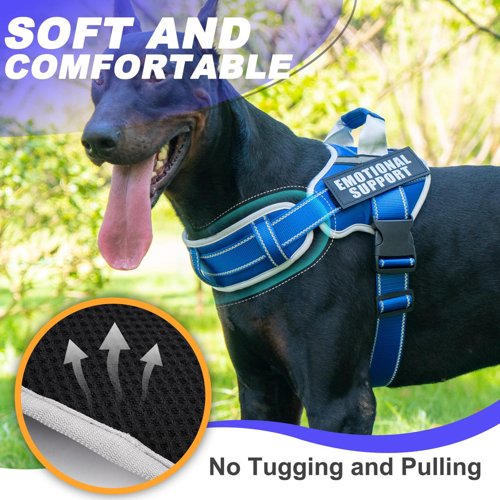 JUSTYEZI 5ft leash with dispenser keeps outdoor walks tidy.