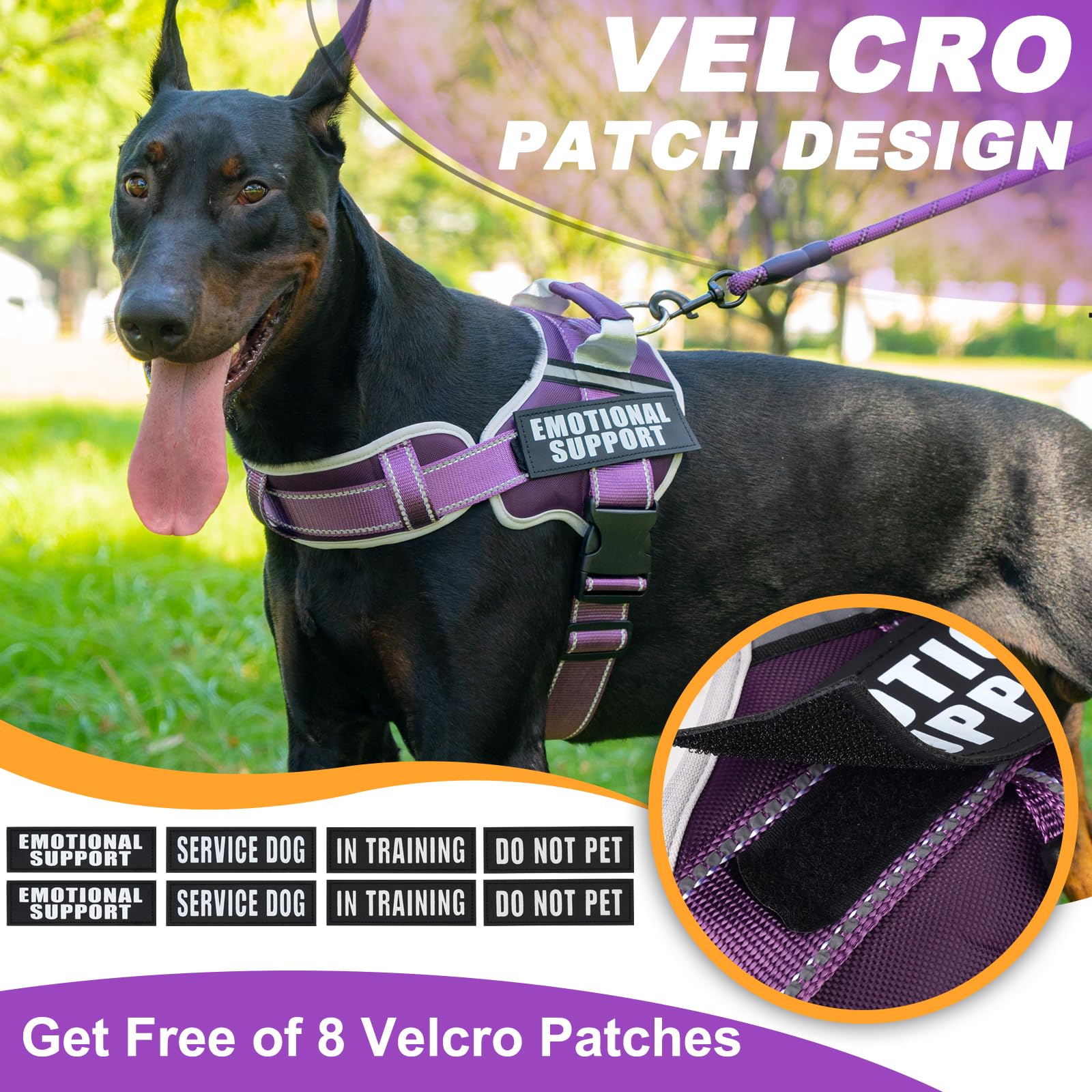 JUSTYEZI 5ft leash provides secure, controlled walking for medium and large dogs.